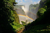 Victoria Falls / Mosi-oa-Tunya with rainbow over the Devil's Cataract,UNESCO World Heritage Site,   Zimbabwe. January 2018,