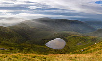 Vew of Llyn Lluncaws taken from Moel Sych in the Berwyn Mountains, Powys, Wales, UK August. This is a glacial Cwm, Corrie or Tarn.