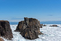 Coastline with sea stacks near Bonavista Newfoundland.  Unseasonal sea ice fills the bay. Canada, May 2017.