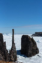 Coastline with sea stacks near Bonavista, with unseasonal sea ice in the bay. Newfoundland, Canada, May 2017.