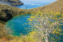 Darwin Lake, Tagus cove, overlook, Isabela Island, Galapagos Islands, Ecuador. Pacific Ocean