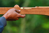 Close up of Lisu man's hand  using crossbow in competition, Tongbiguan Nature Reserve, Dehong Prefecture, Yunnan province, China, May.
