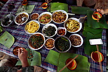 Food  served on banana leaves, at the ranger station, Tongbiguan Nature Reserve, Dehong prefecture, Yunnan province, China. May