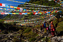 Buddhist prayer flags along  the pilgrimage route around Meili Snow Mountain, 6740 m, a Sacred mountain for Tibetan Buddhists, as yet unclimbed, at the waterfall near Yubeng, Yunnan, China, October 20...