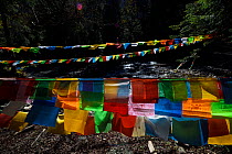 Buddhist Prayer flags, the pilgrimage route around Meili Snow Mountain, 6740 m, a Sacred mountain for Tibetan Buddhists, yet unclimbed, Yunnan, China, October 2017.