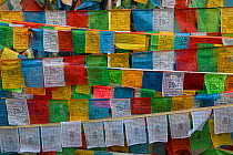 Buddhist Prayer flags, the pilgrimage route around Meili Snow Mountain, 6740 m, a Sacred mountain for Tibetan Buddhists, yet unclimbed, Yunnan, China, October 2017.