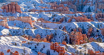 Snow covered eroded spires and pinnacles of Claron Limestone, highlighting exposed strata lines. Looking north toward the Aquarius Plateau. Bryce Canyon National Park, Utah, USA. January 2)18.