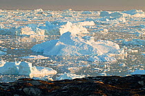 Disko Bay, icebergs, Greenland. June 2011.