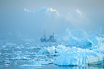 Boat travelling through icebergs in Disko Bay, Greenland. June 2011.