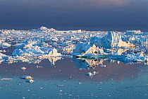 Icebergs in Disko Bay, Greenland. June 2011.