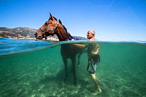 Man with horse cooling down in the Mediterranean sea, Corsica. August 2017.