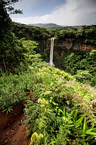 Landscape with ferns and waterfall, Mauritius, May.