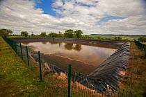 Slurry from the Clinton Devon Estate's Home Farm dairy, stored in 20,000-cubic-metre slurry lagoon until it is needed for fertiliser on the farm. Devon, England, UK, May.