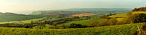 Panoramic landscape of farmland, East Devon, England, UK. February 2017. Digital stitch panorama.