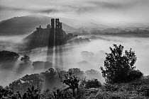Corfe Castle in morning mist, Corfe, Isle of Purbeck, Dorset, England, UK. September 2013.