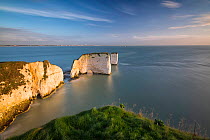 Old Harry Rocks from Ballard Down, Swanage, Isle of Purbeck, Dorset, England, UK. December 2014.