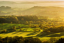 Countryside view from Eggardon Hill, Bridport, Dorset, England, UK. May 2013.