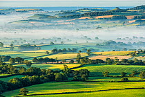 Marshwood Vale in morning mist, from Pilsdon Pen, Dorset, England, UK. July 2012.