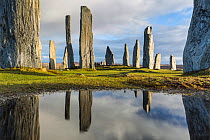 Callanish Standing Stones, Isle of Lewis, Outer Hebrides, Scotland, UK. March 2015.