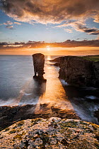 Yesnaby Stack, Orkney, Orkney Islands, Scotland, UK. August 2014.