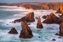 Sea stacks, Mangurstadh, Aird Feinis, Isle of Lewis, Outer Hebrides, Scotland, UK. March 2014.