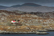 Remote croft, Geocrab, Isle of Harris, Outer Hebrides, Scotland, UK. March 2014.