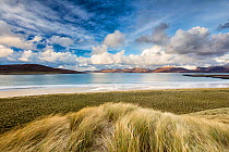 Sand dunes at Luskentyre with view to Taransay. Isle of Harris, Outer Hebrides, Scotland, UK. November 2016.