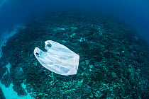 Plastic bag floating over coral reef. Ambon, Maluku Archipelago, Indonesia. Banda Sea, tropical west Pacific Ocean. November, 2017.