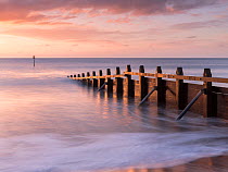 RF - Groyne/sea defense at Dawlish Warren at dawn, South Devon, UK. January 2018. (This image may be licensed either as rights managed or royalty free.)