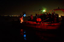 Fisherman haul up glowing nets of florescent Firefly Squid (Watasenia scintillans)  Namerikawa, Toyama Bay, Japan, May 2017.