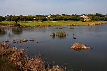 Lake at Quinta do Lago golf course part of the Ria Formosa Nature Reserve, Algarve, Portugal, February 2017