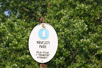 Red-backed shrike (Lanius collurio) male perched on National Park sign, Kiskunsag National Park, near Tiszaalpar, Hungary, June.