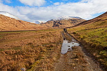 Walkers and dog on a footpath in Glen Cammel near Loch Ba with the mountains of Beinn Bheag Beinn Talaidh and Beinn Chaisgidle beyond Isle of Mull, Inner Hebrides, Scotland, UK. March 2017