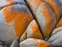 Close up of boulder at hazards beach in Freycinet National Park, Tasmania, Australia?. January 2018.