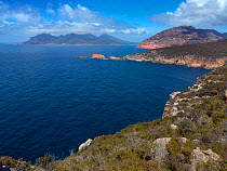 Maria Island National Park, east coast of Tasmania, Australia. January.