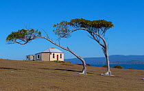 Commandants residence from 1825, Maria Island National Park east coast of Tasmania, Australia. January 2018.