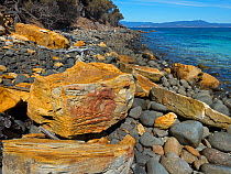 Boulders near the Painted Cliffs at Maria Island National Park, east coast of Tasmania, Australia. January 2018. The iron oxides in the rock were left behind by ground water percolating through the cl...