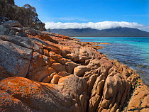 Painted cliffs at Maria Island National Park, east coast of Tasmania, Australia. January 2018. The iron oxides in the rock were left behind by ground water percolating through the cliffs. This created...