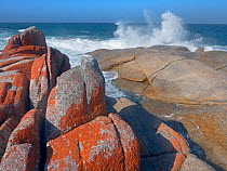 Waves on the shore, with lichen covered granite, Bay of Fires, east coast Tasmania, Australia.