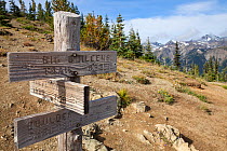 Maromot Pass with trail signpost  in the Buckhorn Wilderness of Olympic National Forest.  Washington, USA.