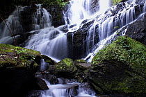 Fendao waterfall, Intervales State Park, Sao Paulo, Atlantic Forest South-East Reserves, UNESCO World Heritage Site, Brazil. June, 2010.