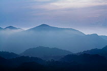 Misty landscape with mountains in distance, from a high lookout in  Intervales State Park, Sao Paulo, Atlantic Forest South-East Reserves, UNESCO World Heritage Site, Brazil.