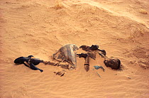 Toubou man, dead from thirst, partially covered in sand dune. Sahara, Niger, Tenere