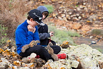 Boys feeding Barbary ground squirrels (Atlantoxerus getulus). Fuerteventura, Canary Islands, Spain. February 2018.
