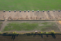 Aerial view of paddocks and shelters for Camargue horses used for riding, Camargue, France. October.