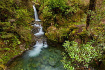 Avalanche Creek, waterfall.  Arthur's Pass National Park, New Zealand. August.