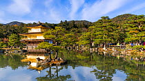 Timelapse of people visiting the Kinkaku-ji or Golden Pavilion, Kita-ku, Kyoto, Kansai, Japan, December 2016. Hellier