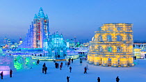 Timelapse of people visiting the illuminated ice sculptures at the Harbin Ice and Snow Festival at dusk, Heilongjiang Province, China, February 2015. Hellier