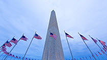 Timelapse from day to night of American flags flying around the Washington Monument, Washington DC, USAJune 2016. Hellier