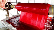 Roller pulling fabric through a bath of red dye in a textiles factory, Jaipur, Rajasthan, India, January 2018. Hellier